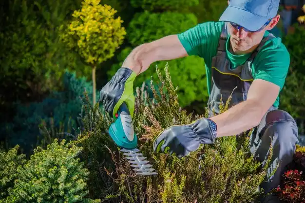 landscaping services South Yarmouth